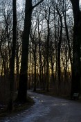 Nymphenburg Park