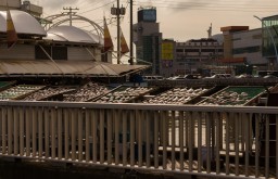 Fish Drying (Yeosu)