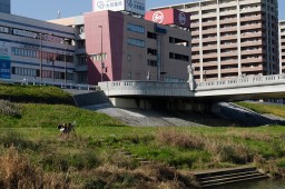 Iizuka // 飯塚市