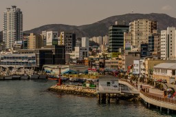Busan Bay