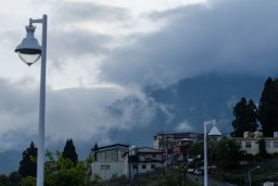 Lishan // 梨山