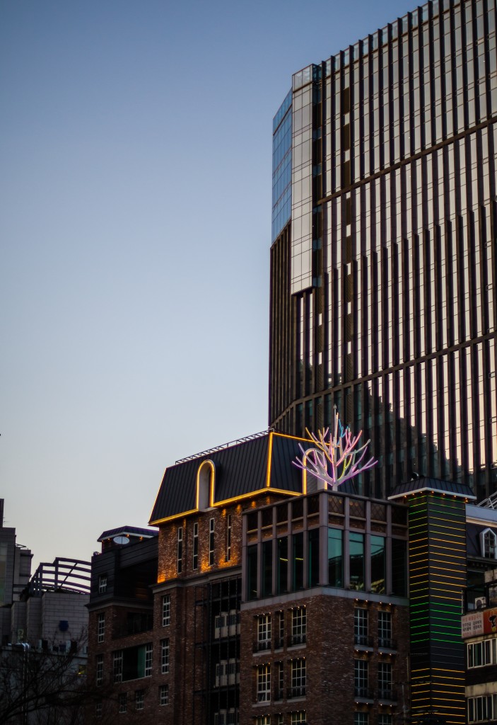 Colorful Tree (Seoul)