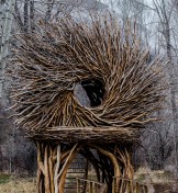 Tree Hole