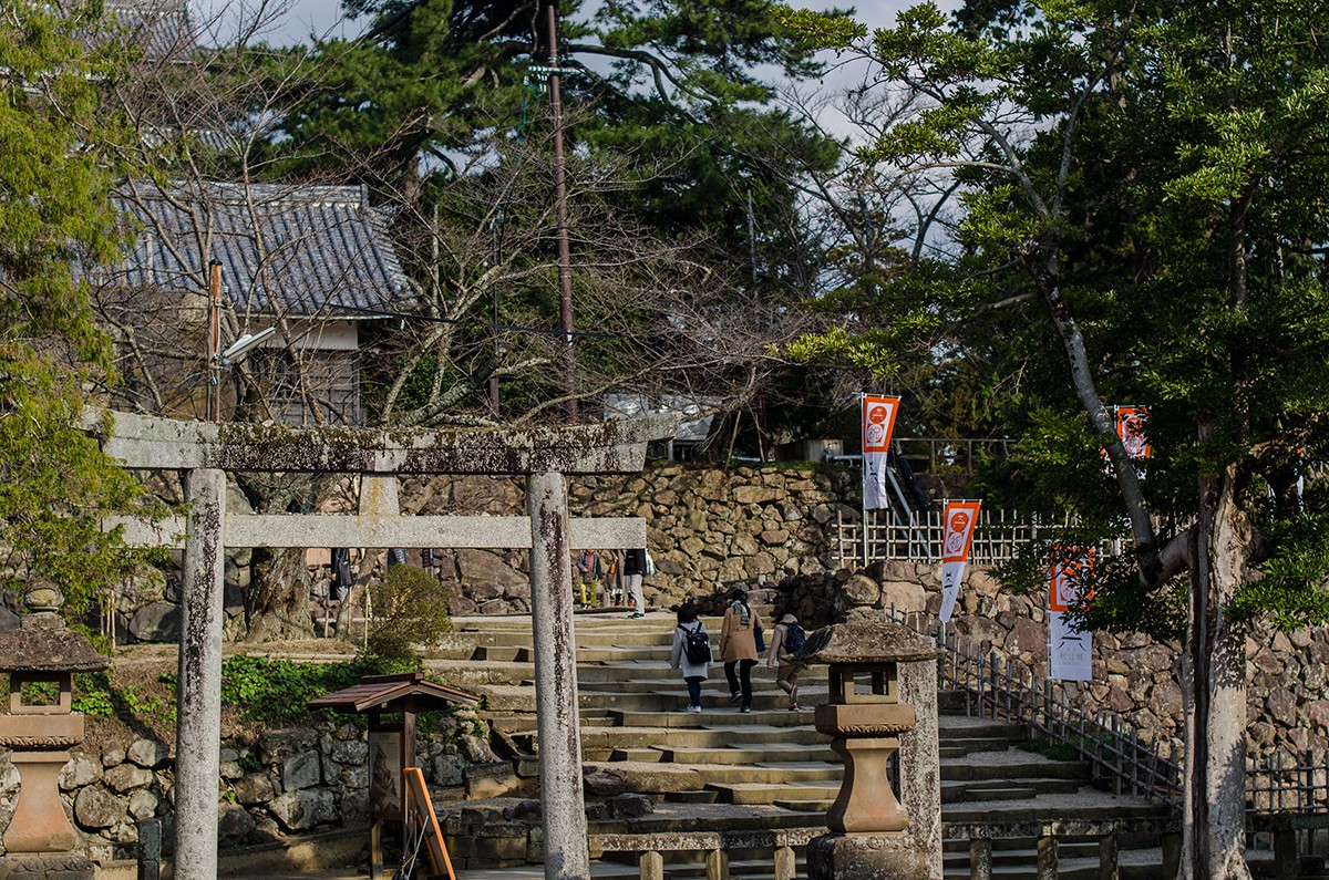 Matsue Shrine // 松江神社