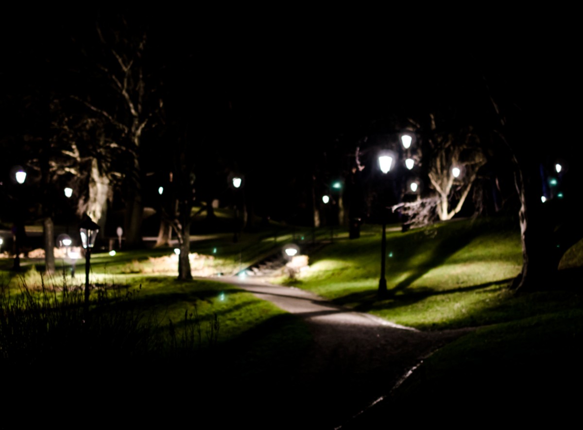 Dark Park
