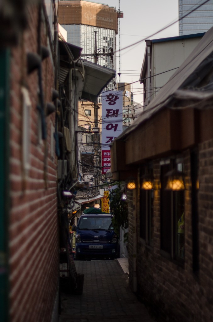 Narrow Neighborhoods (Seoul)