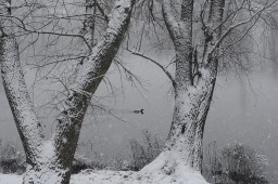 Main in Winter