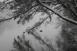 Main in Winter