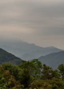 Nantou // 南投縣