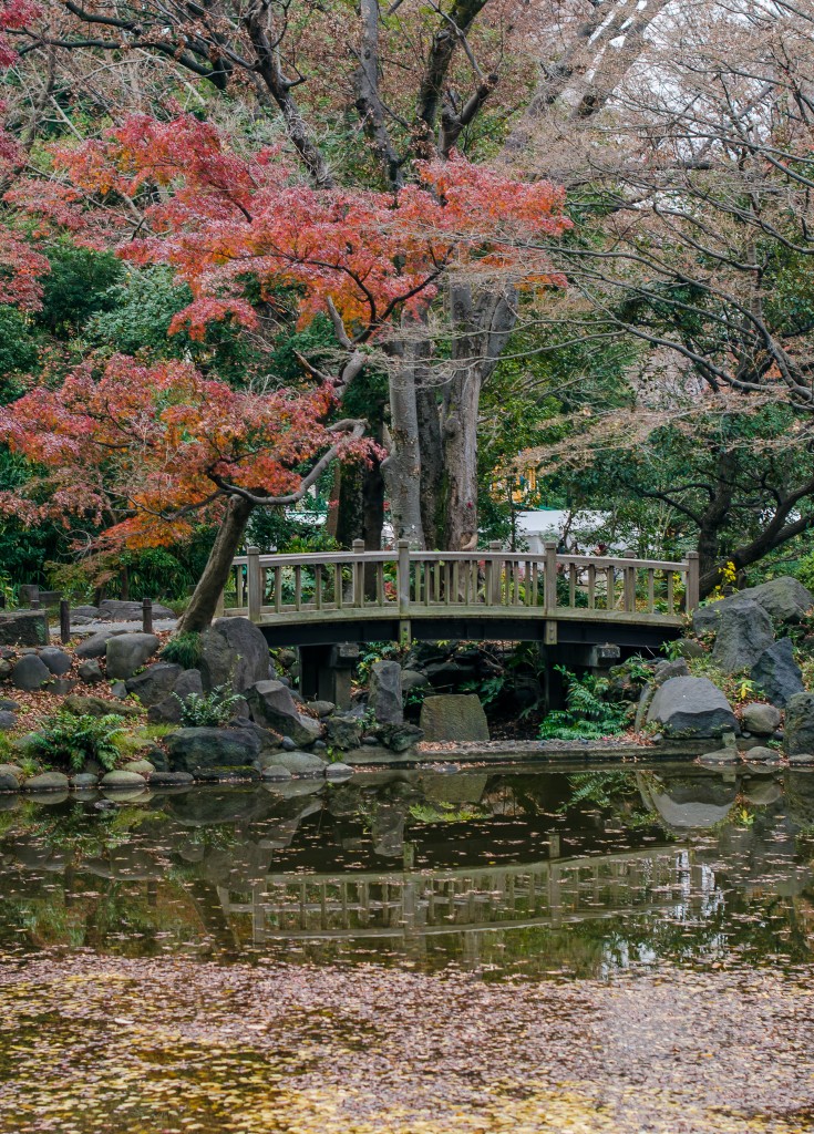 Hibiya Park // 日比谷公園