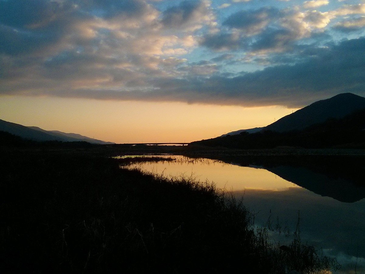 Happy New Year Sunrise!
