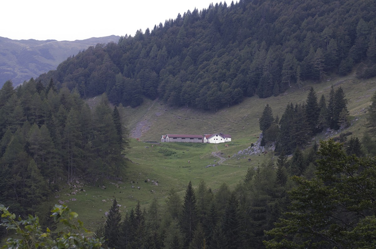 Plöcken Pass 3