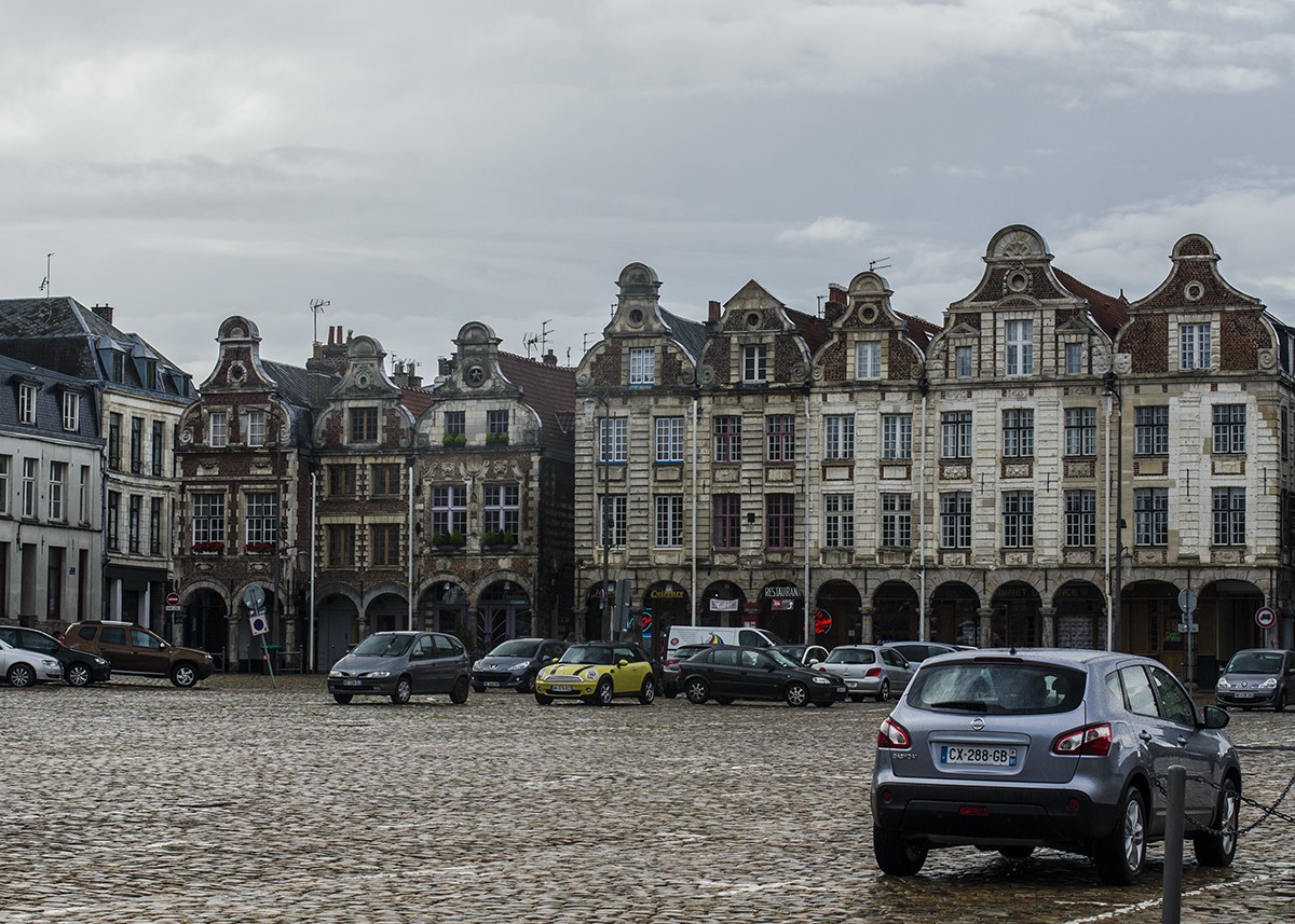 Arras 8