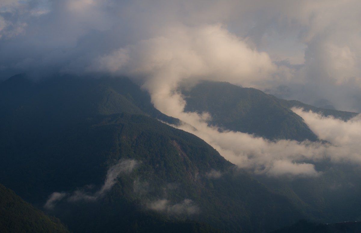 Lishan // 梨山