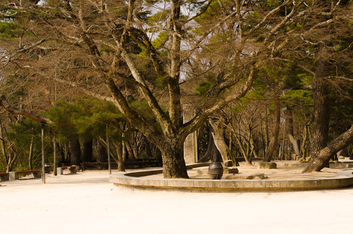 Bulguksa Temple (Gyeongju)