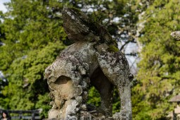 Matsue Shrine Guardian // 松江神社