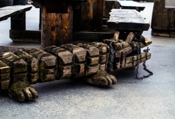 Chained Gator