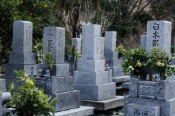 Tsurugi Graveyard (north side of 438) // つるぎ町