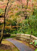 Near Jindaiji // 深大寺