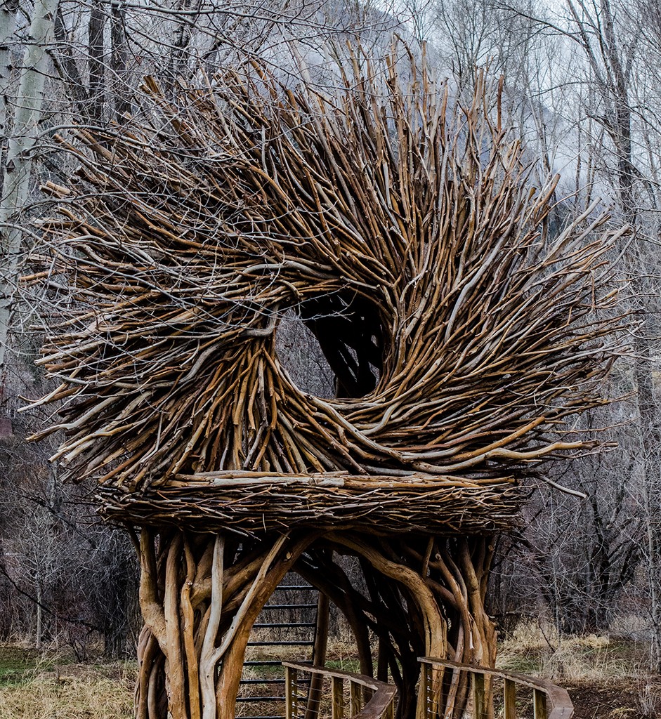 Tree Hole
