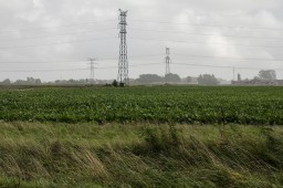 Near Calais