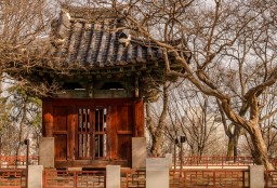 Suspicious... (Jeonju)