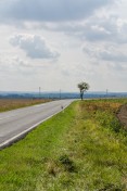 Czech Country Roads