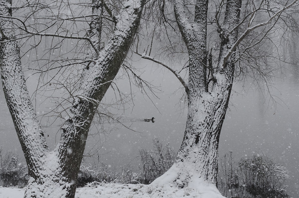 Main in Winter