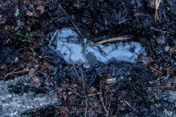 Frozen Footsteps