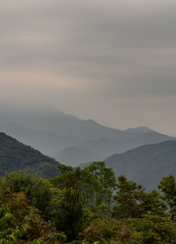 Nantou // 南投縣