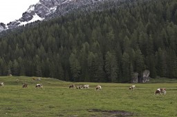 Dolomites, Somewhere 19
