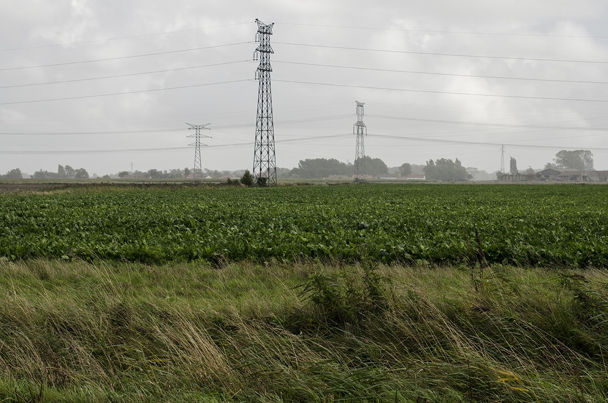 Near Calais