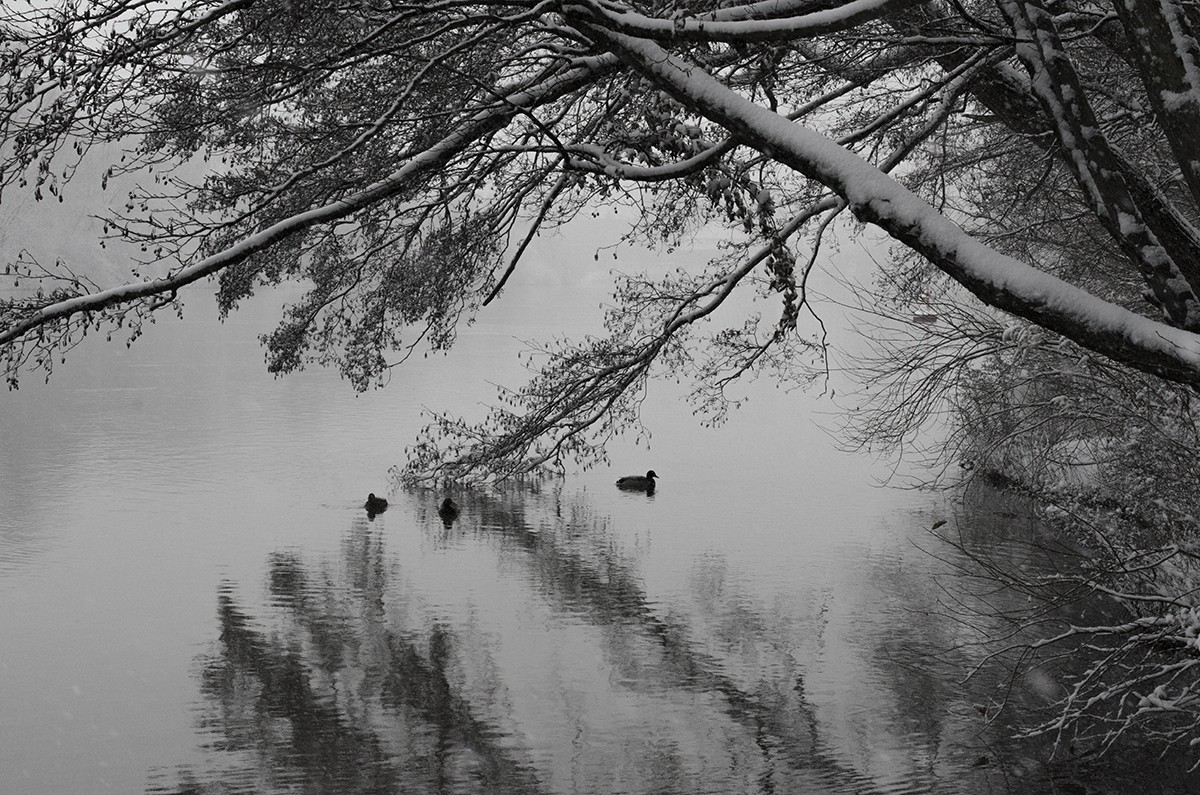 Main in Winter