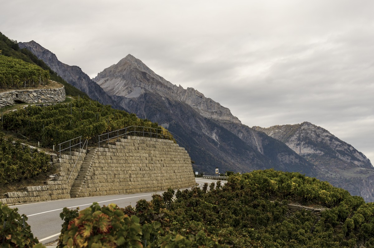 Route de la Forclaz
