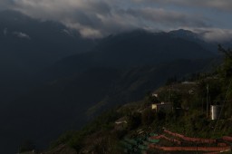 Lishan // 梨山