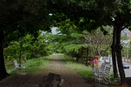 Somewhere East of Tainan