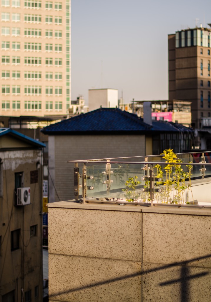 Rooftop Garden (Seoul)