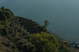 Lishan // 梨山