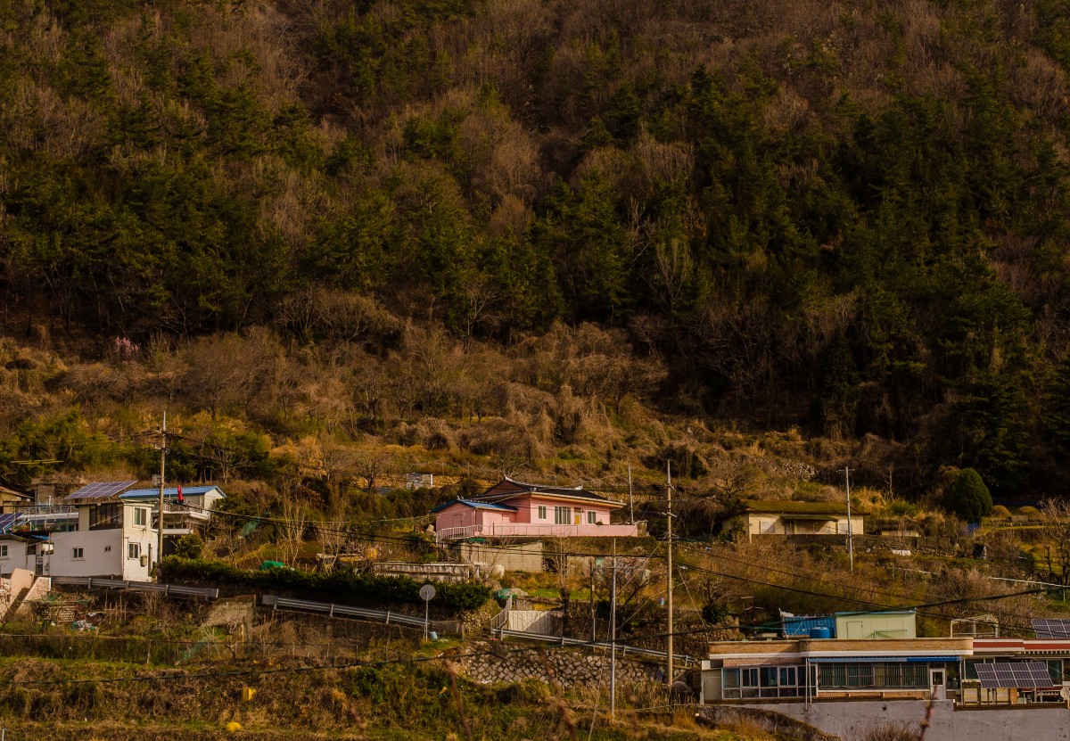 Traditional Pink (Yeosu)