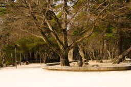 Bulguksa Temple (Gyeongju)