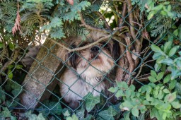 Bures-sur-Yvette 4