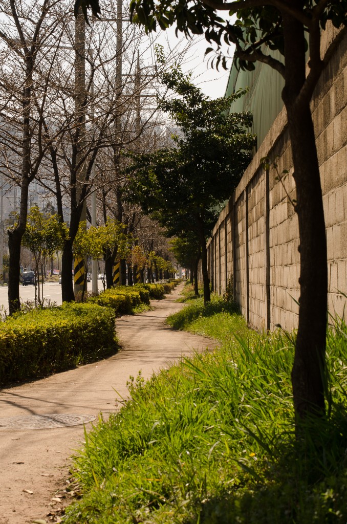 Busan Bicycle Paths