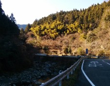 Road 438 (East side)