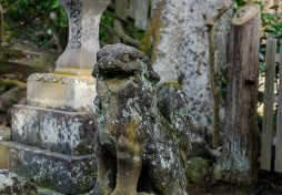 Shiroyamainari Shrine Guardian // 城山稲荷神社