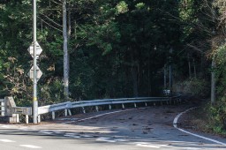 Road 438 (North side)