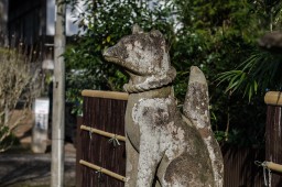 Shiroyamainari Shrine Guardian // 城山稲荷神社