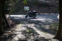 Some Hilltop in Kyushu