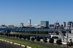 Fuji from Daiba