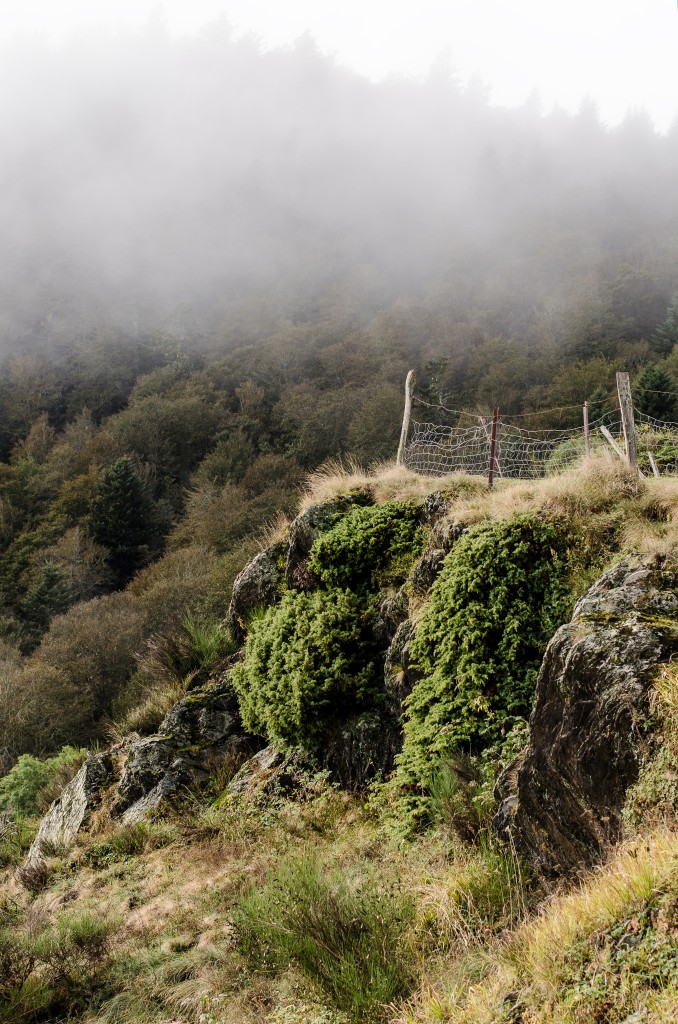 Col d'Aspin