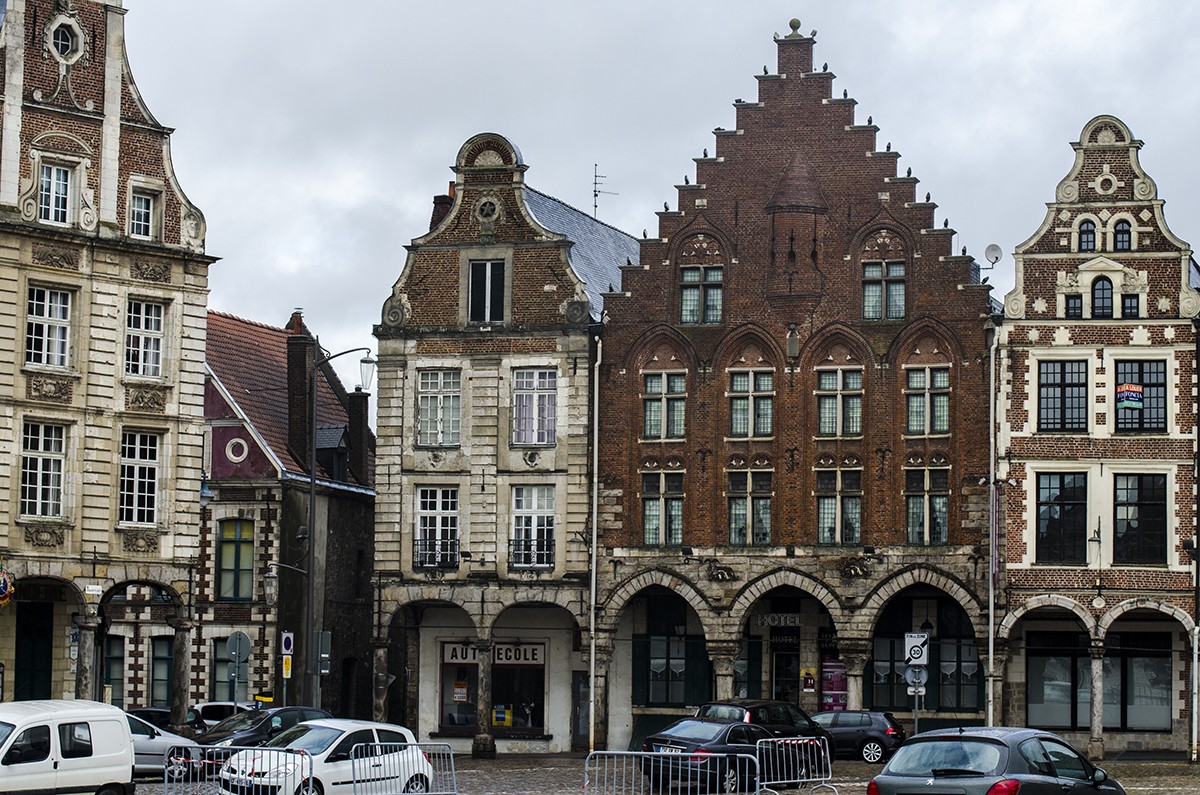 Arras 7
